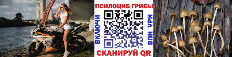Галлюциногенные грибы мухоморы  купить наркотик  Курильск 